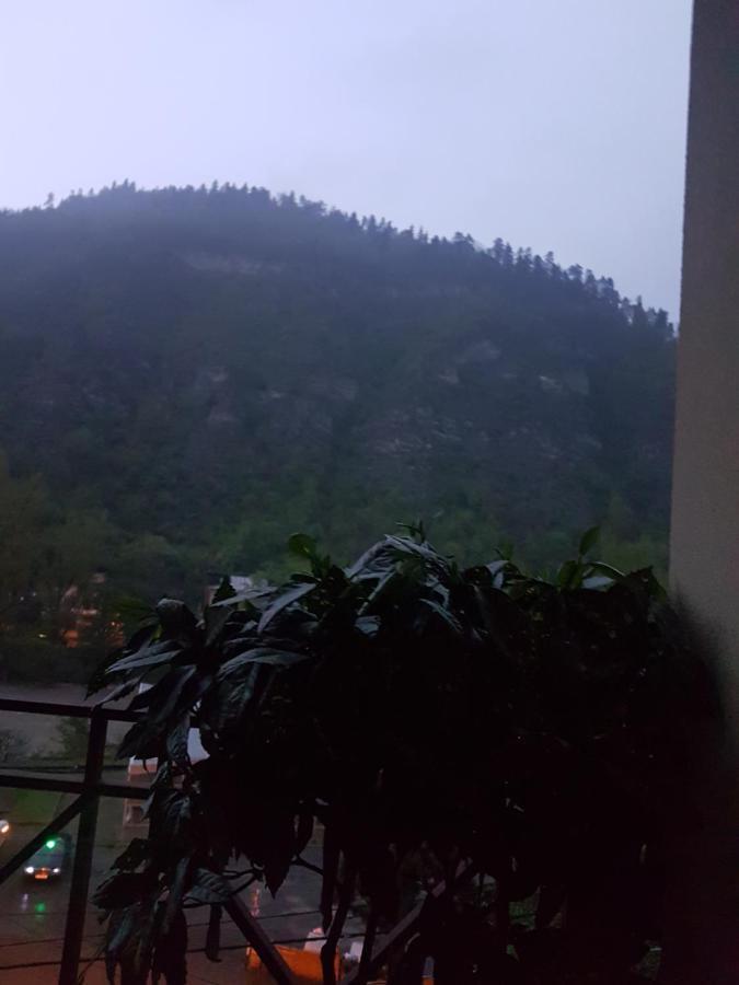 villa beridze Borjomi Bagian luar foto